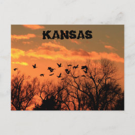 Kansas Golden Sunset mit Gänsen, Bäumen. Postkarte