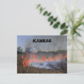 Kansas Grass Burning for New Pflanze Life Post Car Postkarte (Stehend Vorderseite)