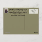 Kansas Grass Burning for New Pflanze Life Post Car Postkarte (Rückseite)