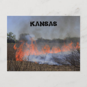 Kansas Grass Burning for New Pflanze Life Post Car Postkarte