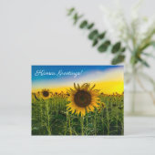 Kansas Greetings Sunflower Field Postkarte (Stehend Vorderseite)