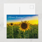 Kansas Greetings Sunflower Field Postkarte (Vorne/Hinten)