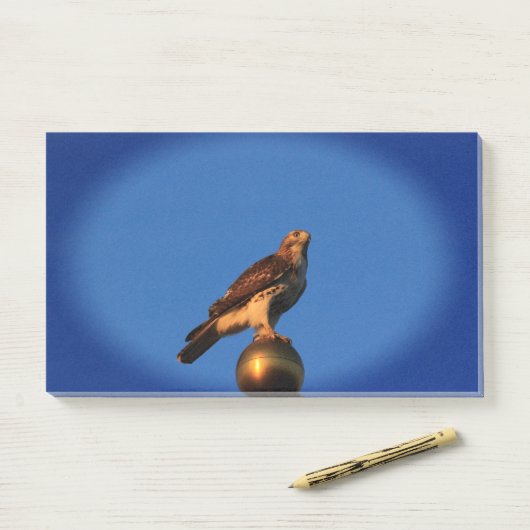 Kansas Hawk auf der Fahne Post it Notes Post-it Klebezettel (Auf Schreibtisch)