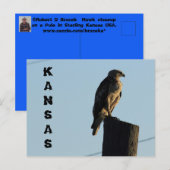 Kansas Hawk auf einem Pole geschlossen Post Card. Postkarte (Vorne/Hinten)