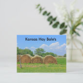 Kansas Hay Bales Post Card Postkarte (Stehend Vorderseite)