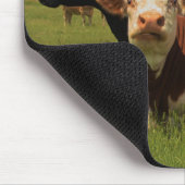 Kansas Hereford und Angus Cows Mouse Pad Mousepad (Ecke)