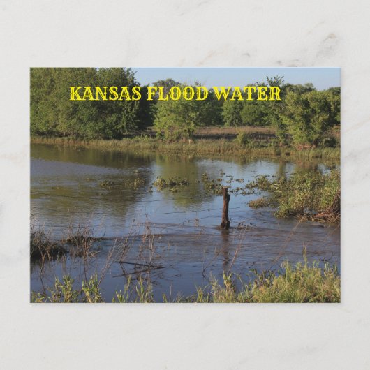 Kansas Hochwasser in einem Bauernhof.Postkarte. Postkarte (Vorderseite)