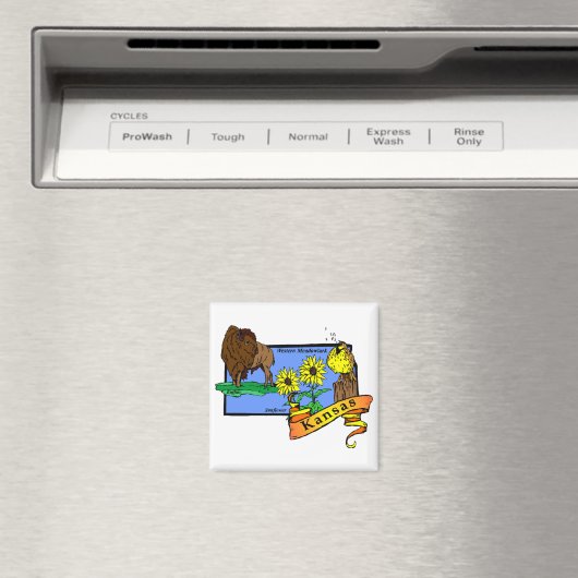 Kansas Karte 2 Magnet (In Situ (Geschirrspüler))