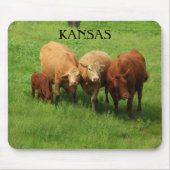 Kansas Kuh ist in einer grünen Weide Maus Pad Mousepad (Vorne)