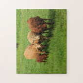 Kansas Kühe in einer Weide PUZZLE (Vertikal)