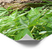 Kansas Landschaft Poster (Ecke)