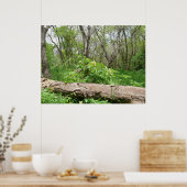 Kansas Landschaft Poster (Küche)