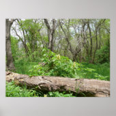 Kansas Landschaft Poster (Vorne)