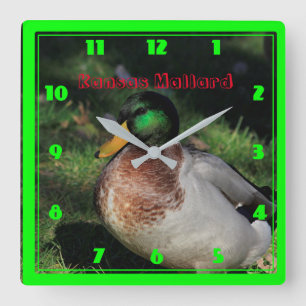 Kansas Mallard Square Wall Clock Quadratische Wanduhr