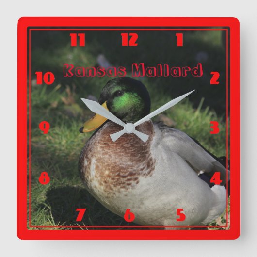 Kansas Mallard Square Wall Clock Quadratische Wanduhr (Vorderseite)