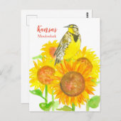 Kansas Meadowlark Sunblumen Postkarte (Vorne/Hinten)