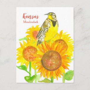 Kansas Meadowlark Sunblumen Postkarte
