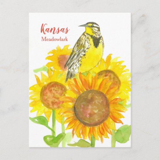 Kansas Meadowlark Sunblumen Postkarte (Vorderseite)
