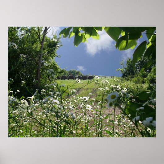Kansas Meadows und Wildblumen Poster (Vorne)