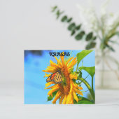 Kansas Monarch Butterfly auf einer Sonnenblume Postkarte (Stehend Vorderseite)