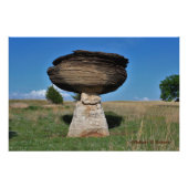 Kansas Mushroom Rock in einem Weideland Foto/Poste Fotodruck (Vorne)