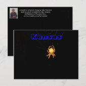 Kansas Orb Weaver Spider Post Card Postkarte (Vorne/Hinten)