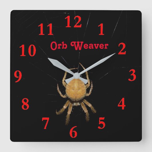 Kansas Orb Weaver Square Clock Quadratische Wanduhr (Vorderseite)