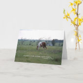 Kansas Paint Horse Karte (Gelbe Blume)