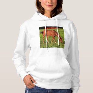 Kansas Pferd in einer Weide Hoodie