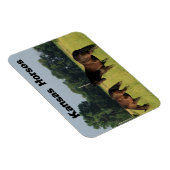 Kansas Pferde auf einer Weide Magnet (Rechte Seite)