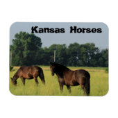 Kansas Pferde auf einer Weide Magnet (Horizontal)