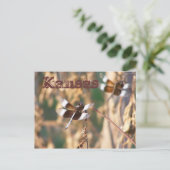 Kansas Postcard: Libellen Postkarte (Stehend Vorderseite)