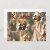 Kansas Postcard: Libellen Postkarte (Vorne/Hinten)