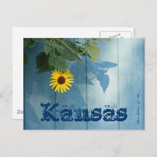 Kansas Postcard: Sonnenblume Postkarte (Vorne/Hinten)