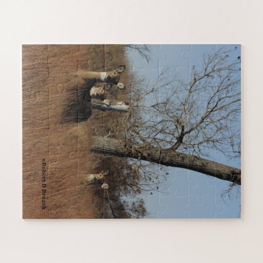 Kansas Quivira Wildlife Whitetail Deer Puzzle (Horizontal)