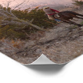 Kansas Rancher Watching a Controlled Prairie Burn Poster (Ecke)