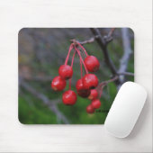 Kansas Red Berries erschossen Nahaufnahme Mouse Pa Mousepad (Mit Mouse)