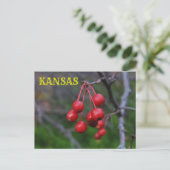 Kansas Red Berries schließen Postkarte (Stehend Vorderseite)