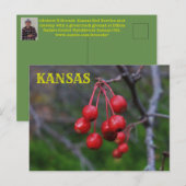Kansas Red Berries schließen Postkarte (Vorne/Hinten)