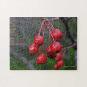 Kansas Red Berries schließen Puzzle