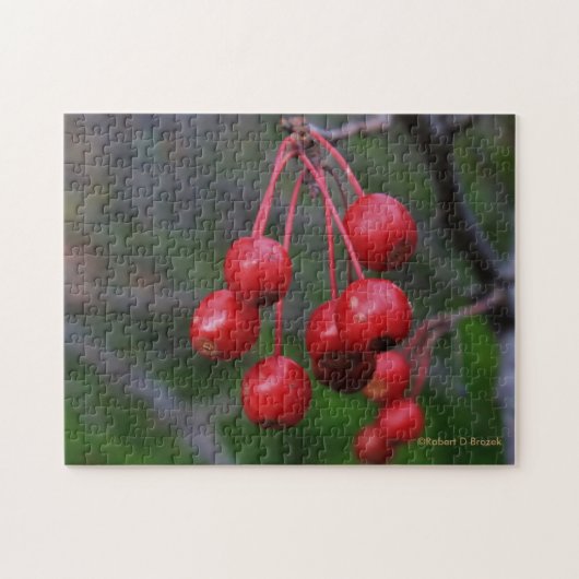 Kansas Red Berries schließen Puzzle (Horizontal)