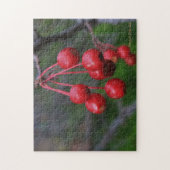 Kansas Red Berries schließen Puzzle (Vertikal)