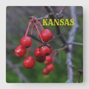 Kansas Red Cherry's Closeup Square Wall Clock Quadratische Wanduhr
