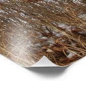 Kansas Red Country Barn Foto Erweiterung (Ecke)