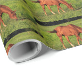 Kansas Red Horse Wrapping Paper Geschenkpapier (Rolleneckpunkt)
