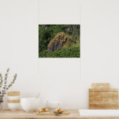 Kansas Roter Sandstein Felsen in einer Weide Poster (Küche)