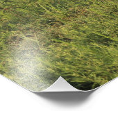 Kansas Rotes Foto Erweiterung (Ecke)