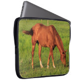 Kansas Rotes Pferd mit grüner Weide LapTop-Sieb. Laptopschutzhülle (Vorne Rechts)