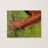 Kansas Rotes Pferd Puzzle (Horizontal)