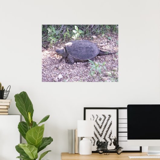 Kansas Snapping Turtle Poster (Heimbüro)